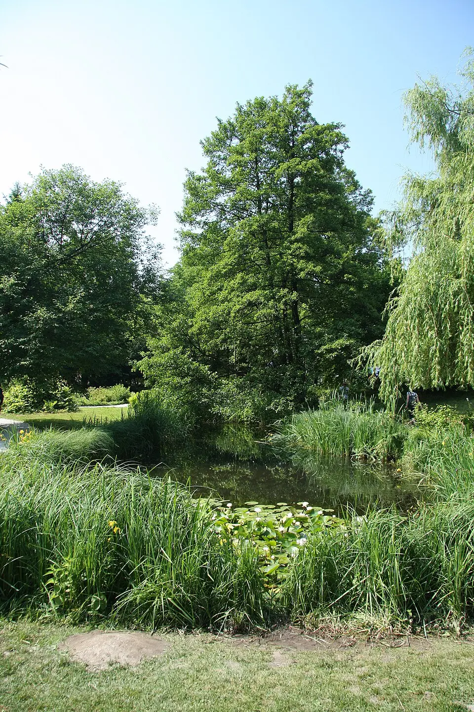jardin botanique de l'Université de Ljubljana