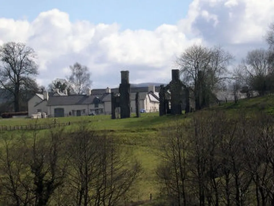 Llwynywermod