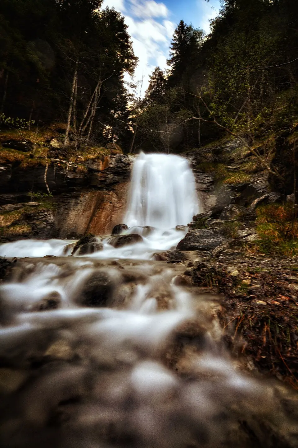 parco naturale del Gran Bosco di Salbertrand