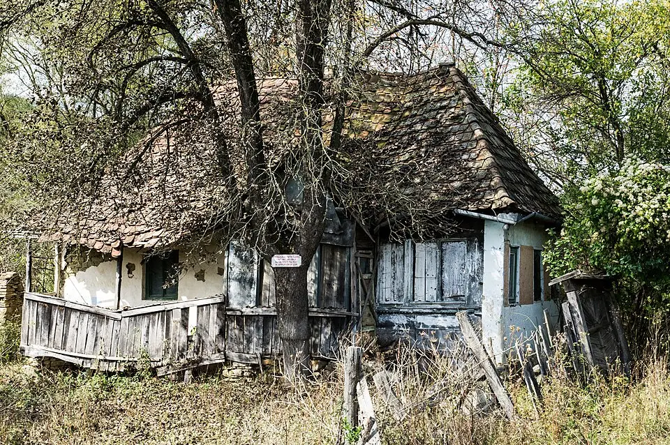 Loțu