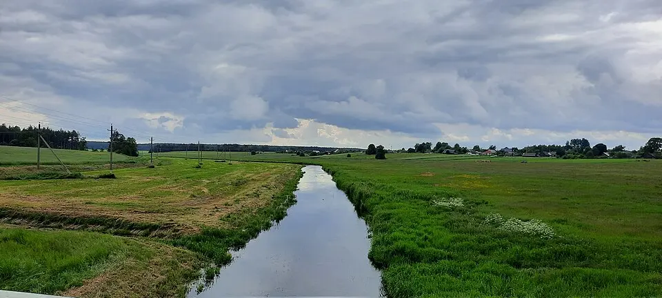 Loša