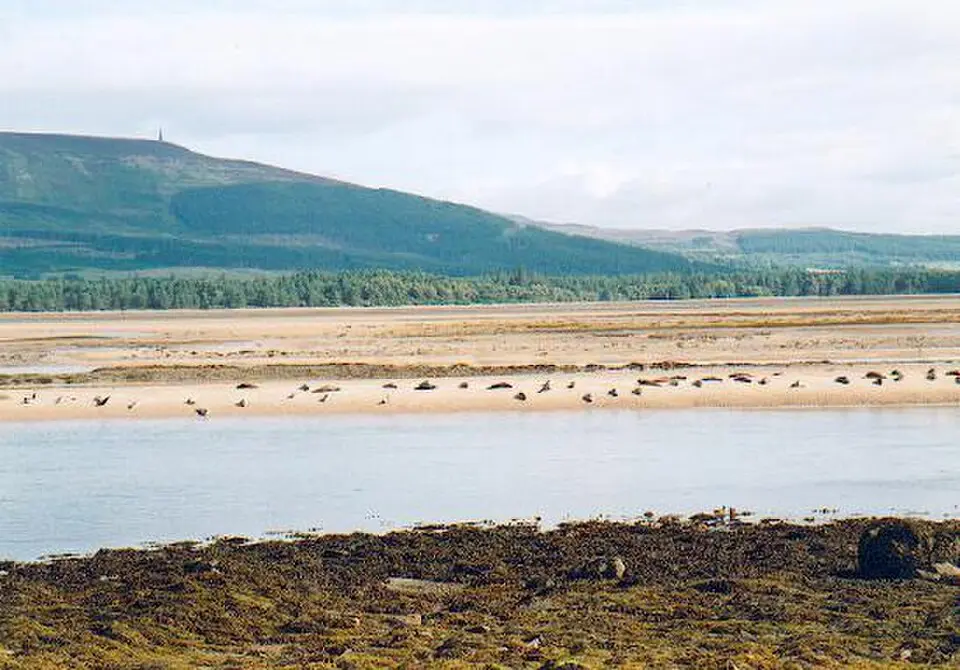 Loch Fleet National Nature Reserve