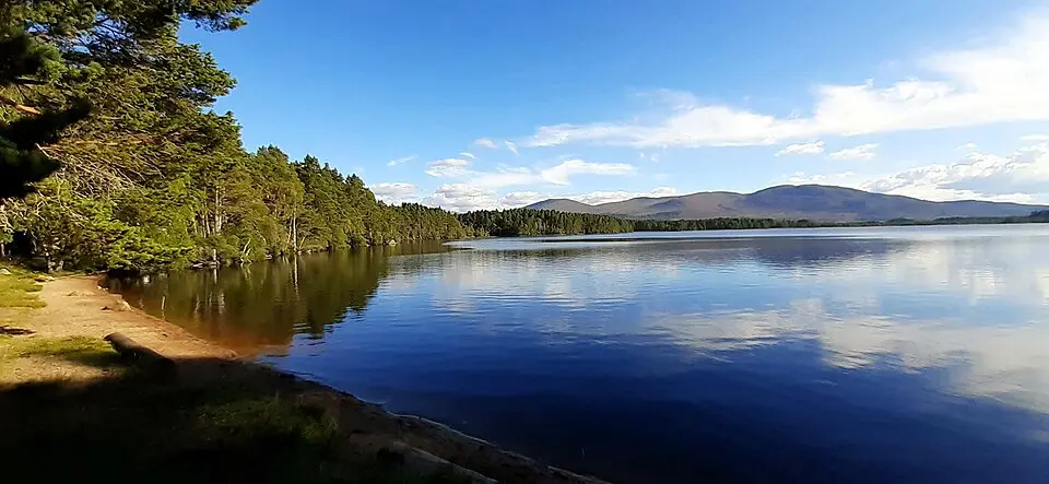 Loch Garten Osprey Centre