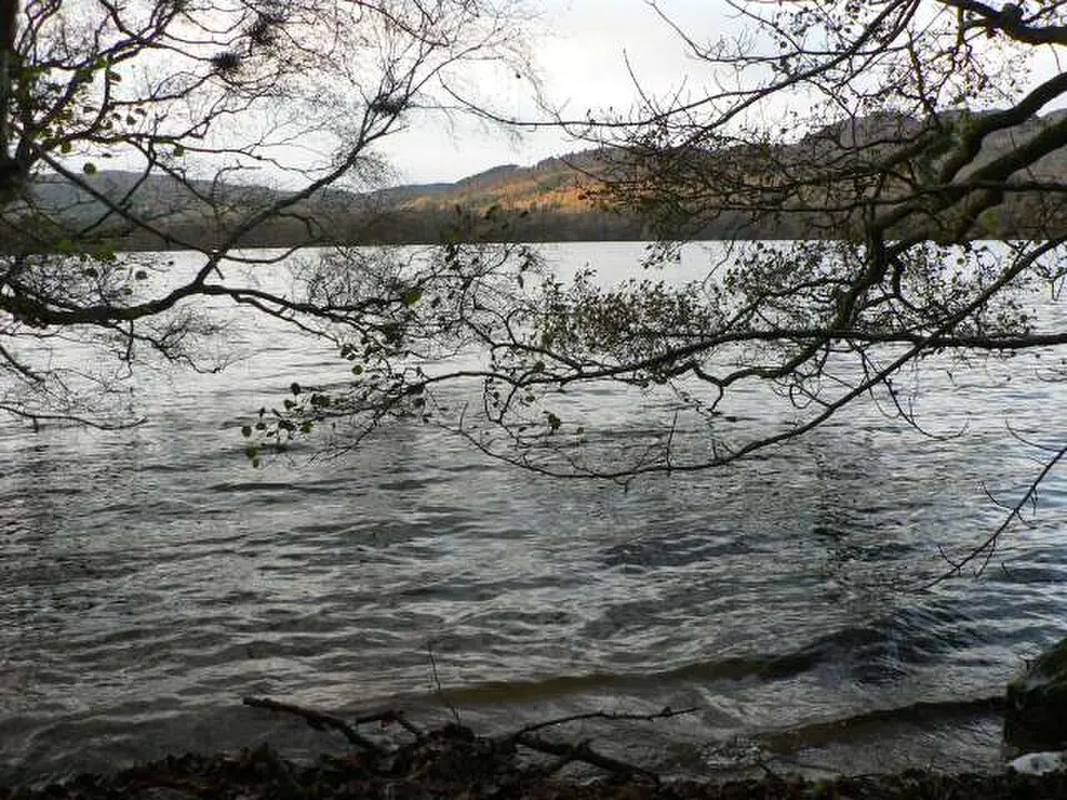Loch of the Lowes (Perth and Kinross)