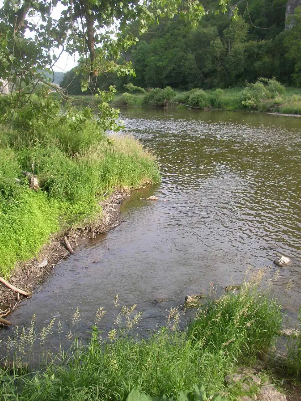 Loděnice