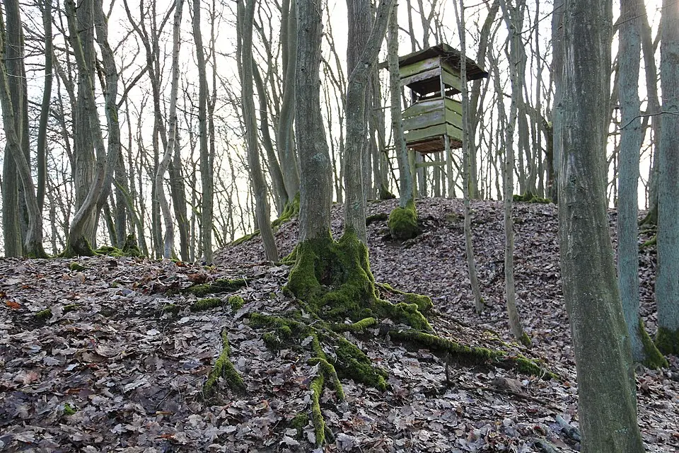 Burg Seelbach (Lohra)