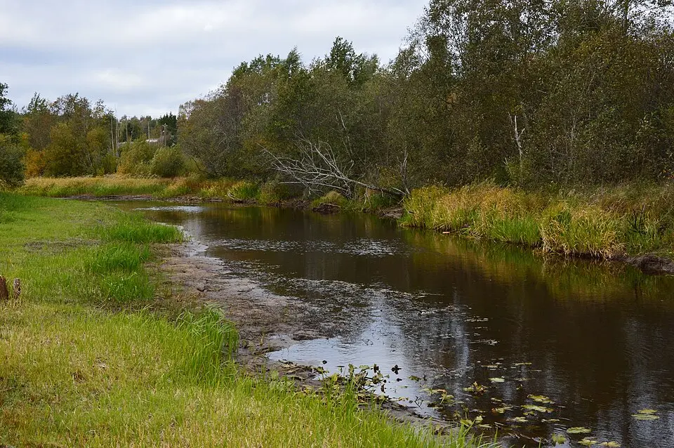 Alajõgi