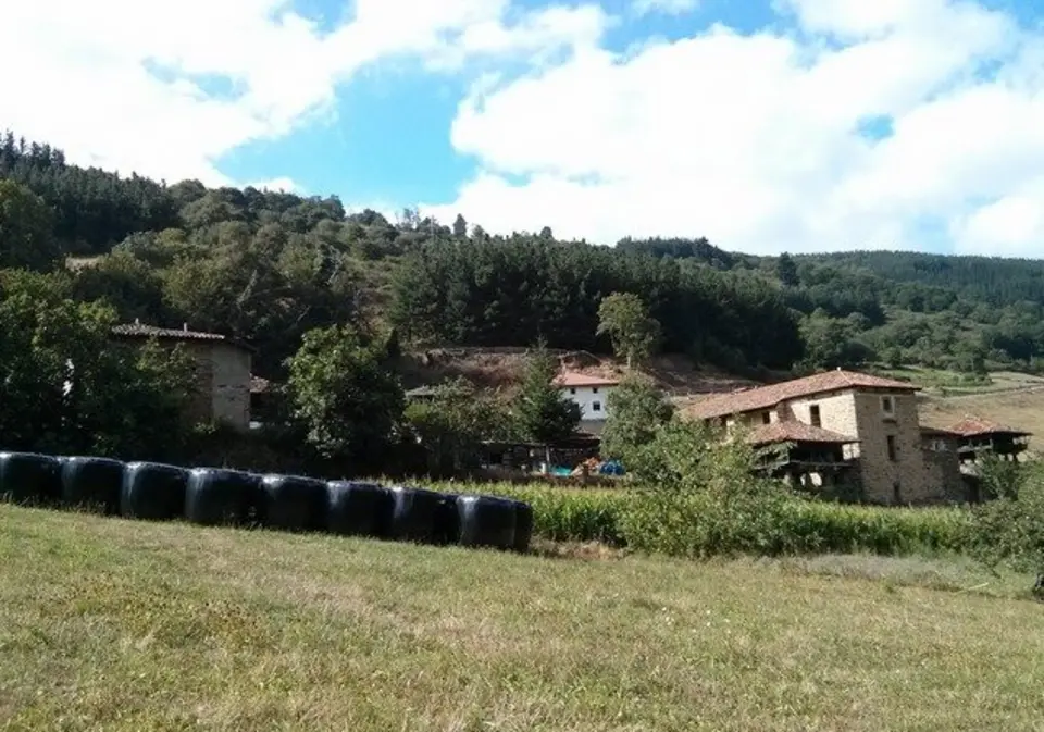 Lomes