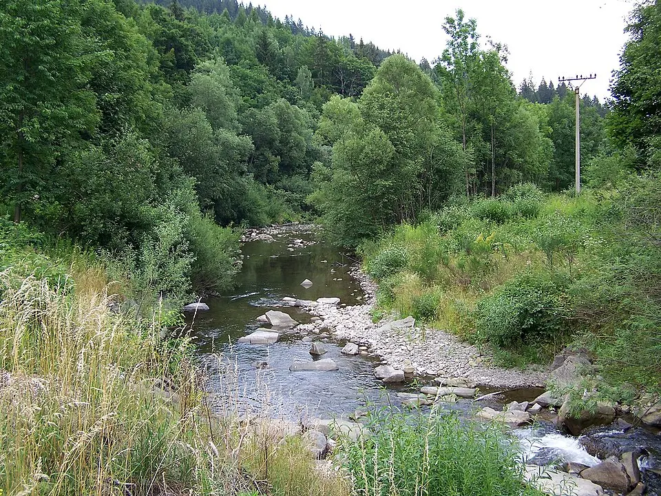 Lomná