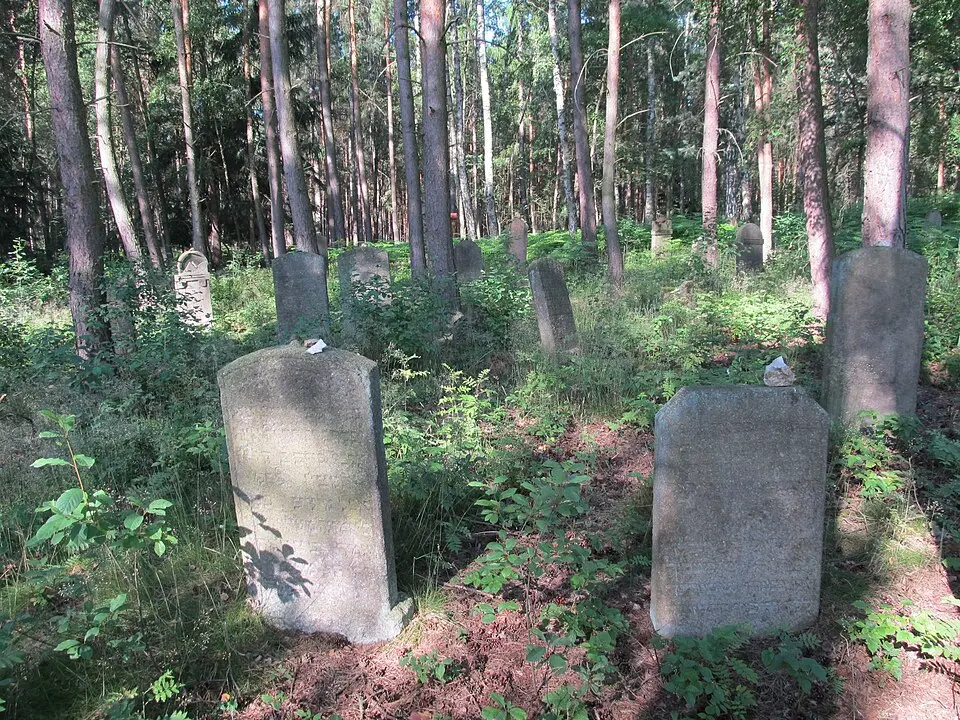 Slika: Krabat77 · CC BY-SA 3.0 Lomnička