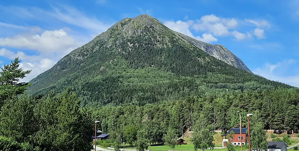 Lomseggje