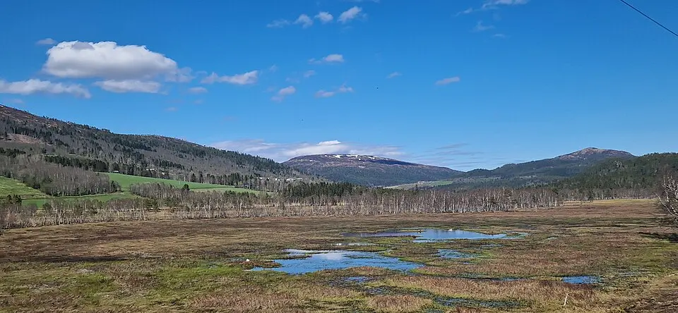 Lomundsjømyra naturreservat