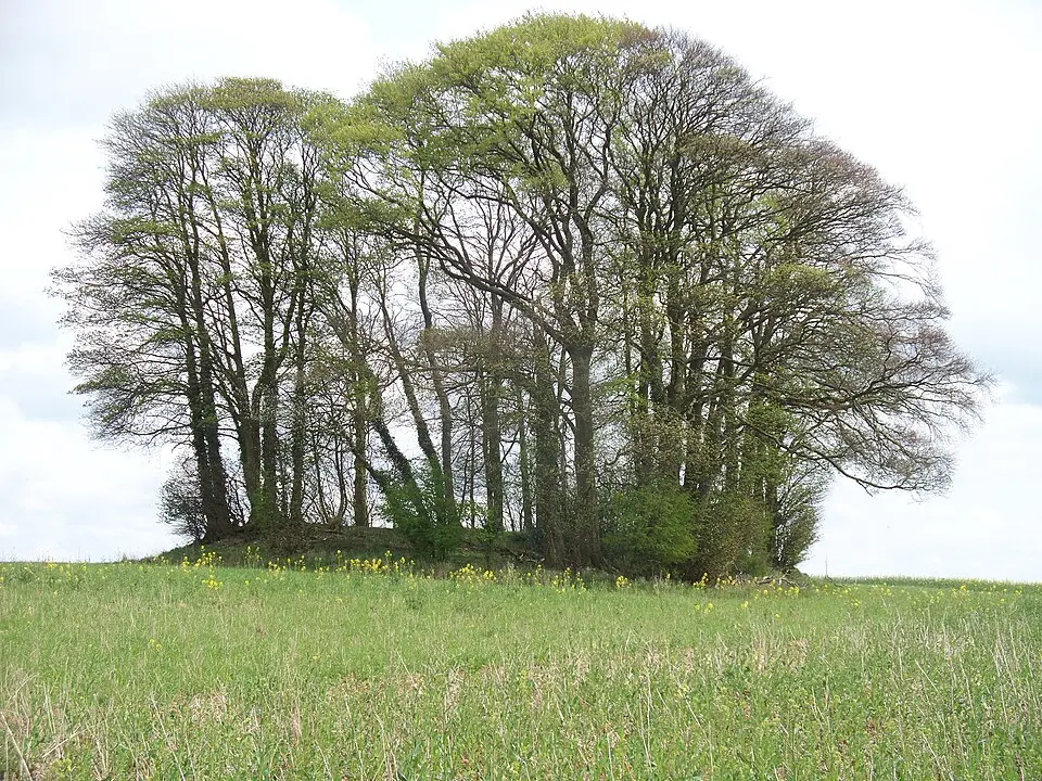 Cold Aston long barrow 200yds (180m) E of Camp Farm
