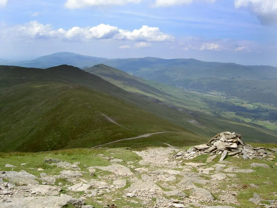Brown Pike