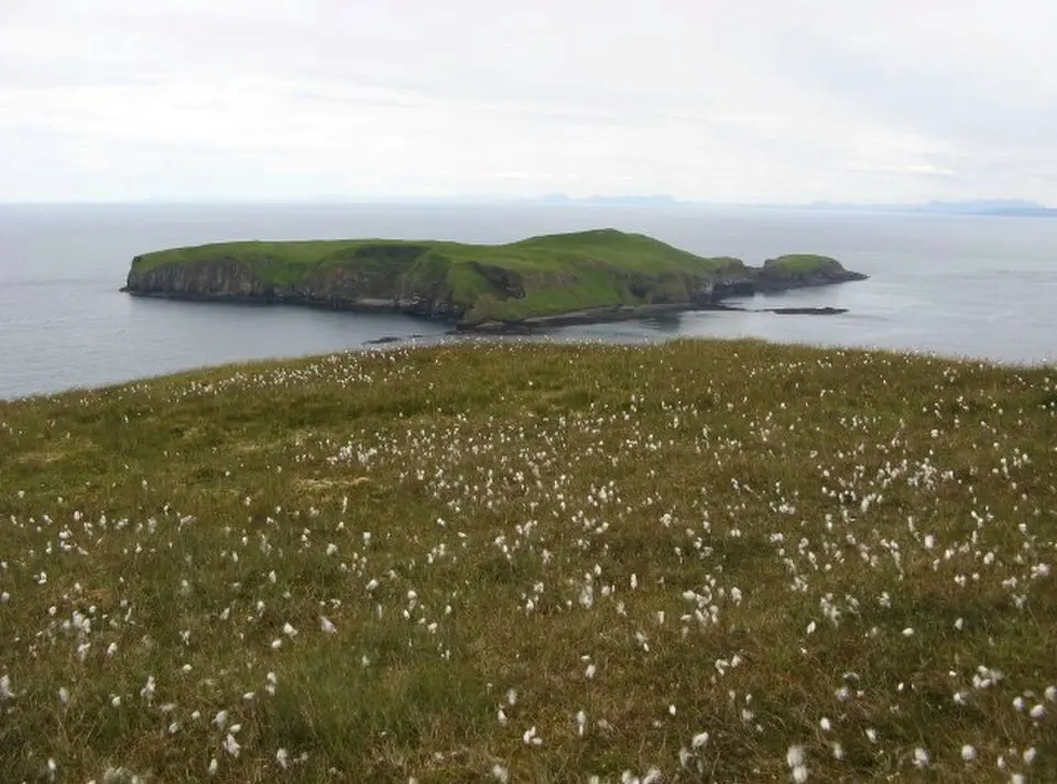 Eilean Mhuire
