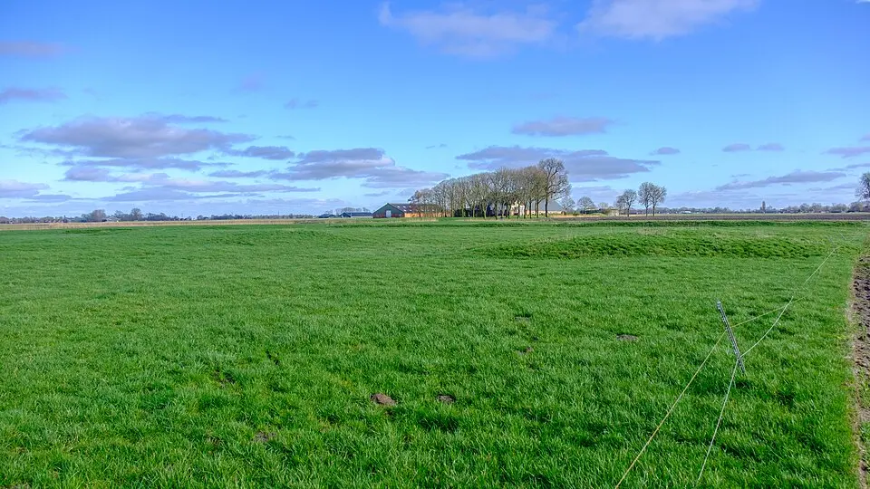 Terrein met overblijfselen van borg De Juist