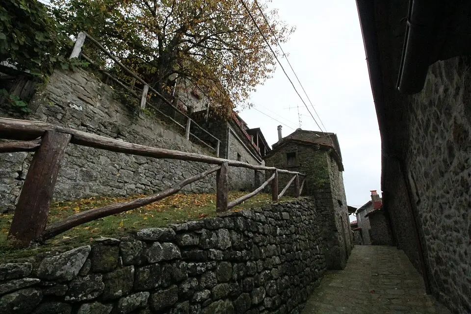 Anciolina