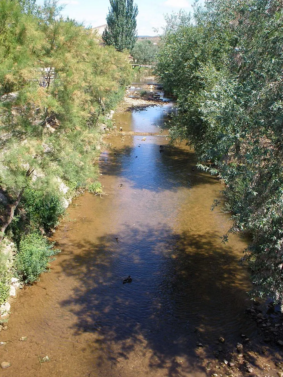 Río Odrón