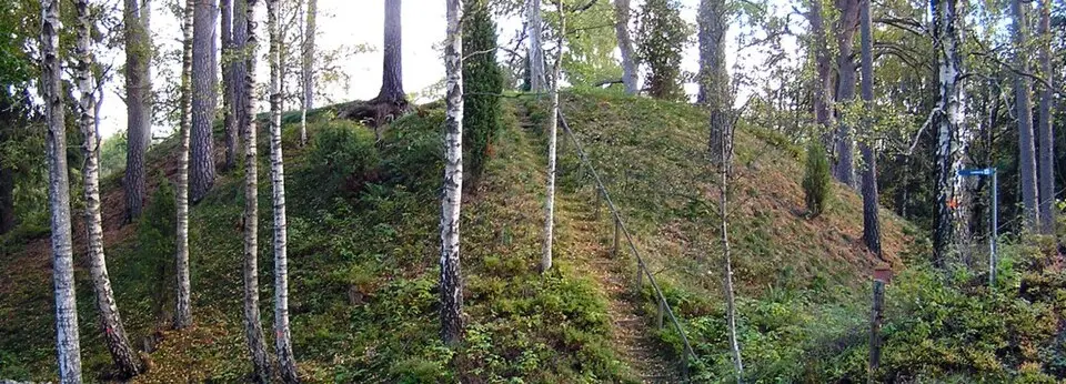 Losborg