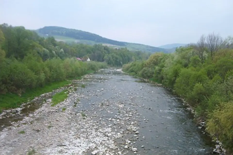 Łososina
