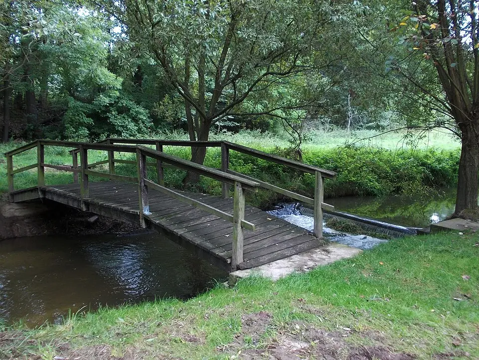 Lossa (Mulde)