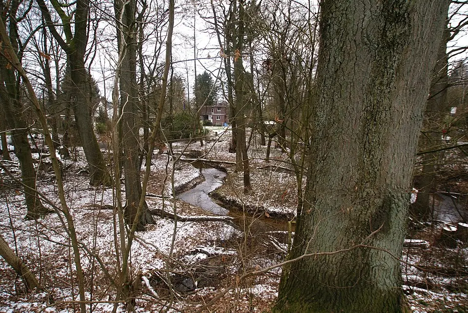 Lottbek