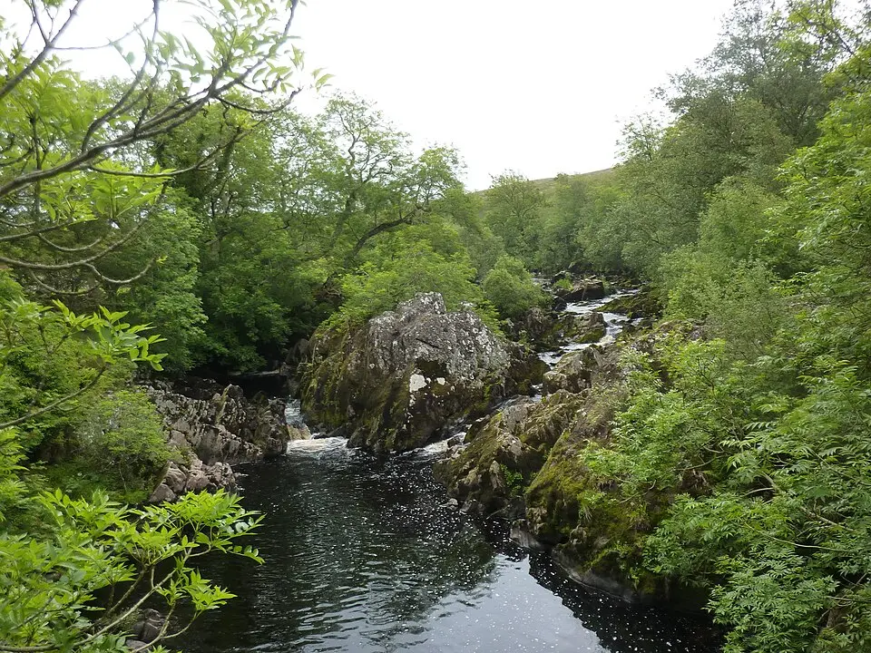 Loups of Barnshangan