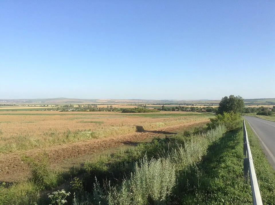 Lozarevo