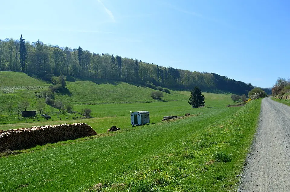 Naturpark Solling-Vogler