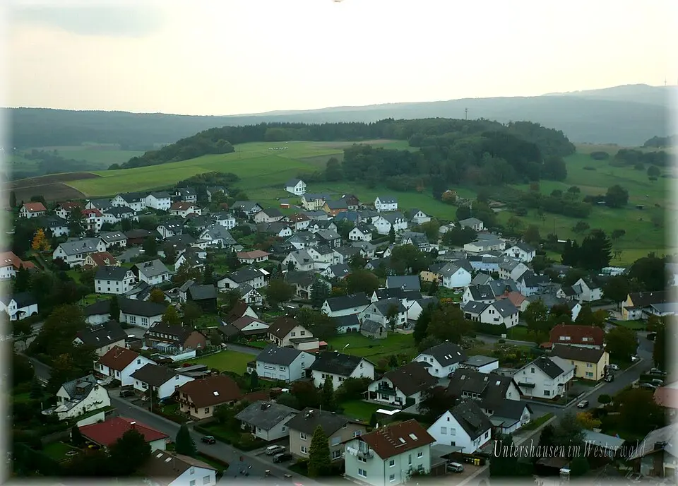 Kép: Möwe-rhein601 · CC BY-SA 3.0 Untershausen