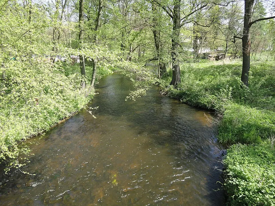 Linke Skrwa