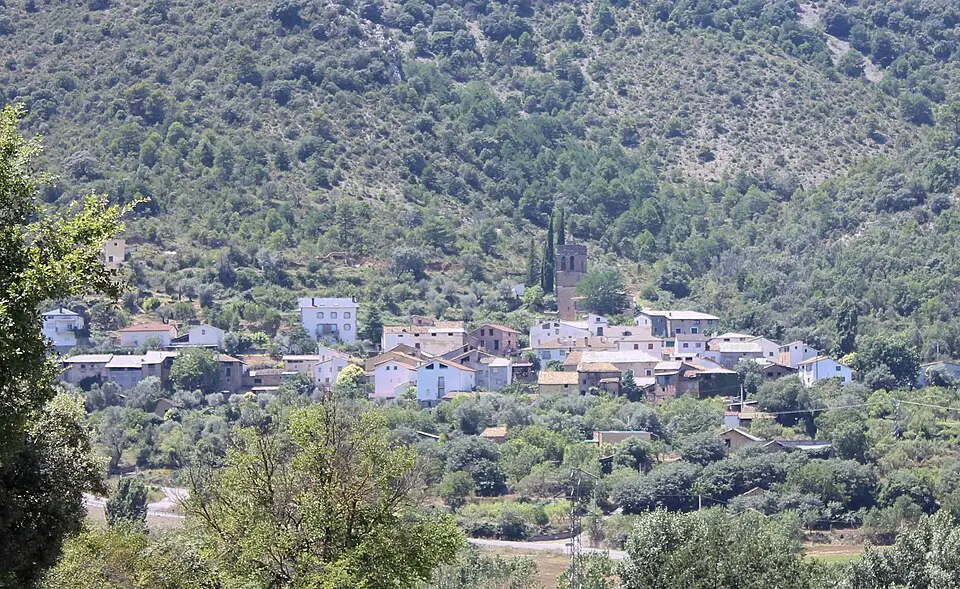 Palo