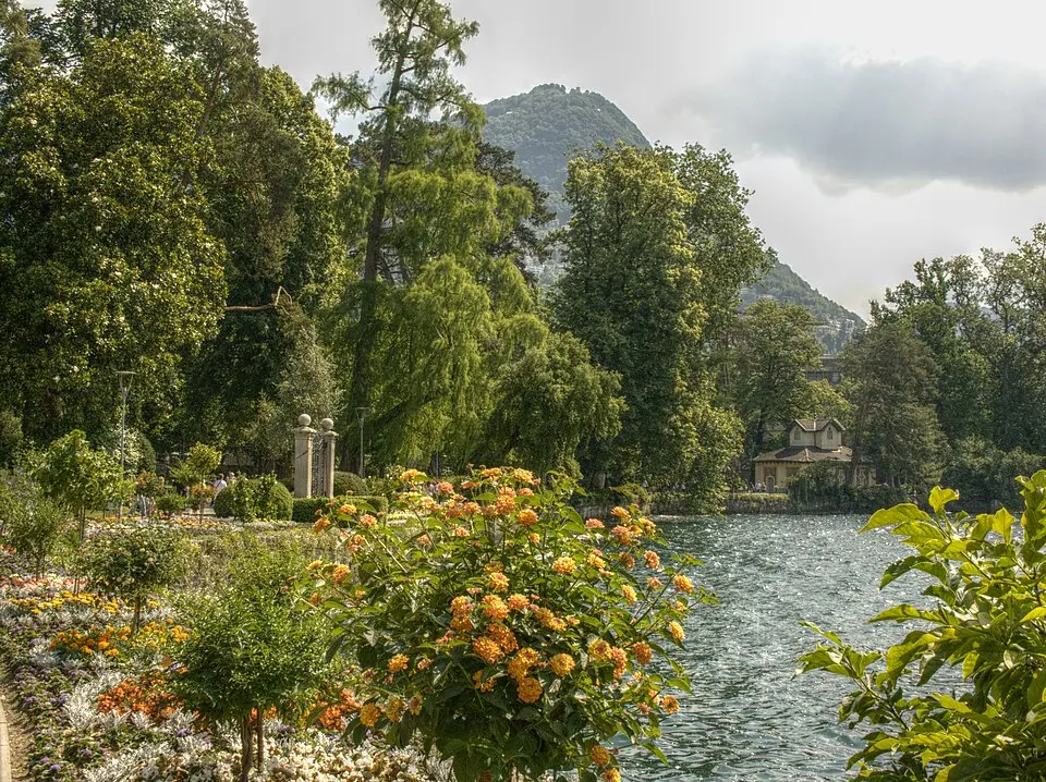 Ciani Park