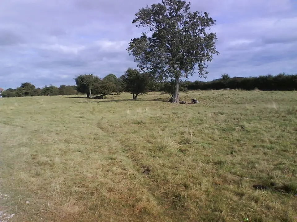 Wilstrop