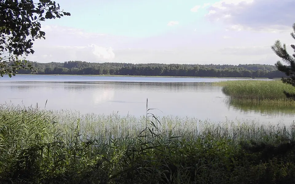 Gražutės regioninis parkas