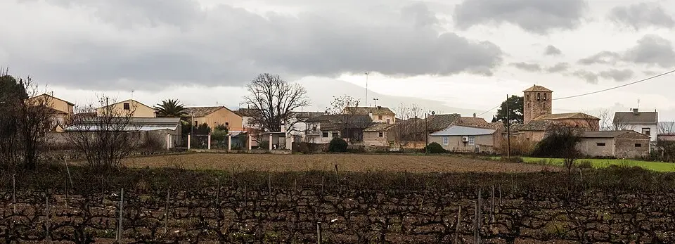 Alberite de San Juan