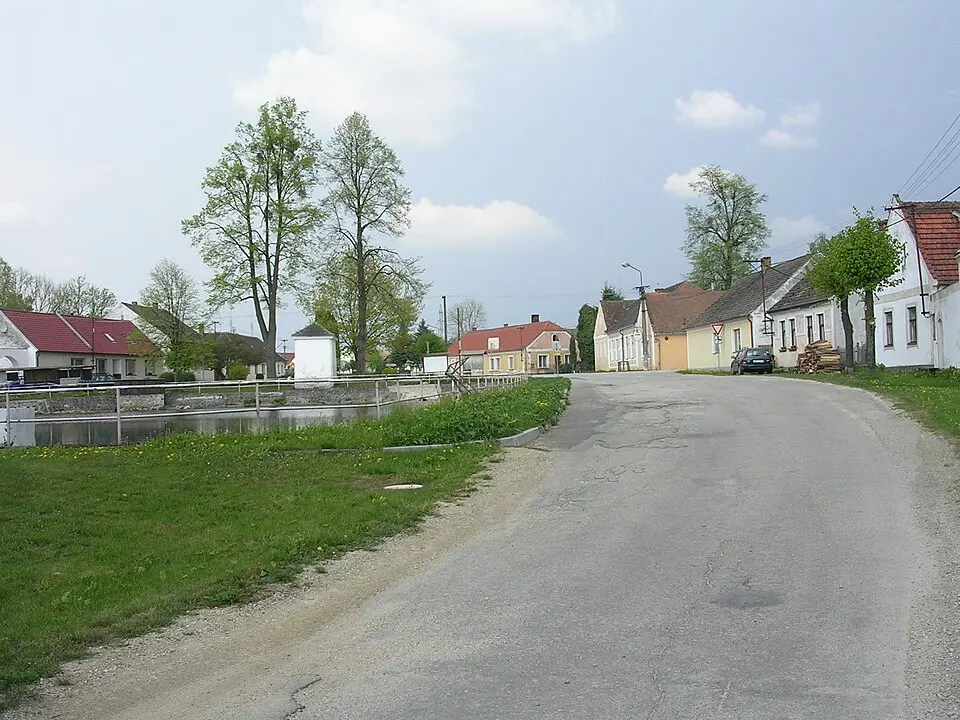 Lutová