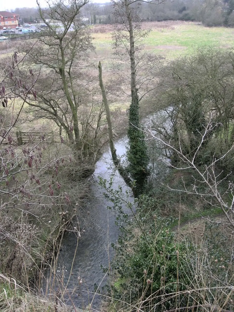 River Swift