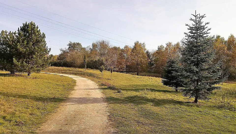 arboretum du Kirchberg