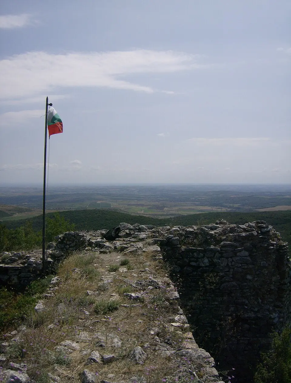 Лютица