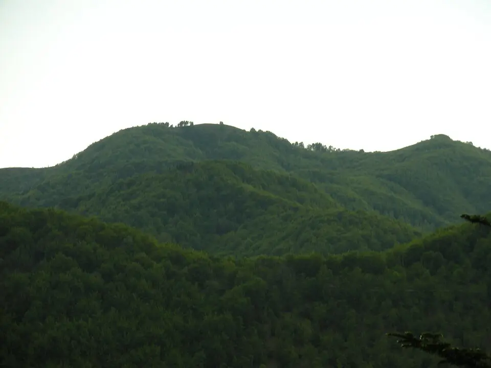 Monte Caucaso