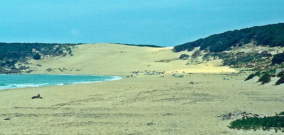 Duna de Bolonia