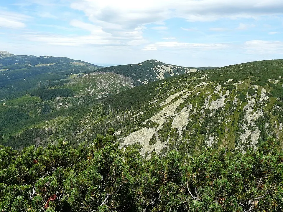 Obrázek: Piotr Kobierski · CC BY-SA 3.0 Malý Šišák