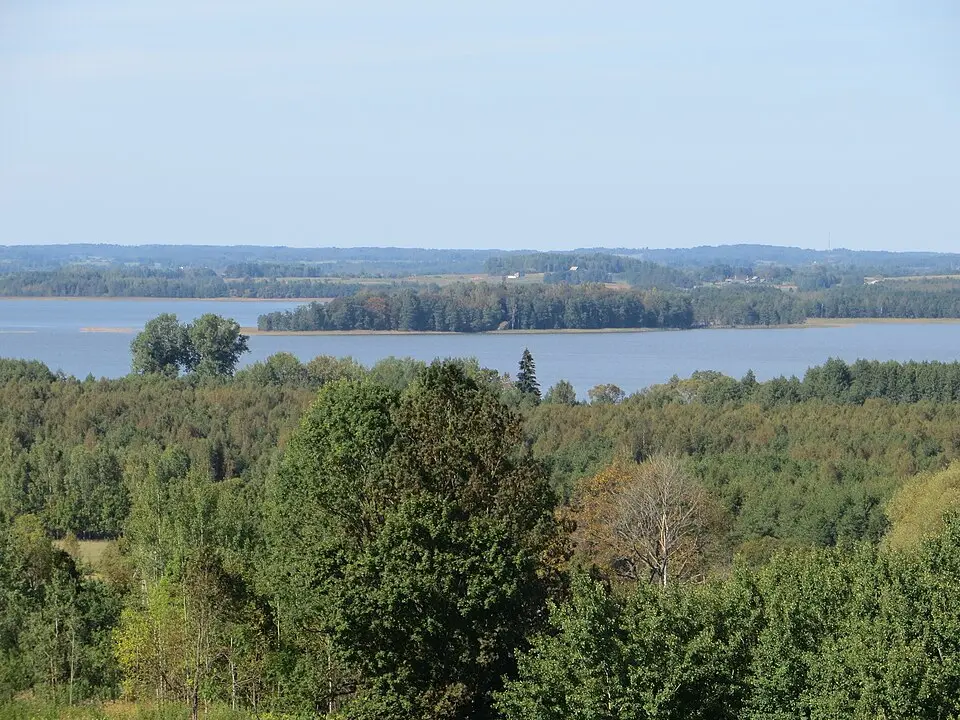 Dysnykštis