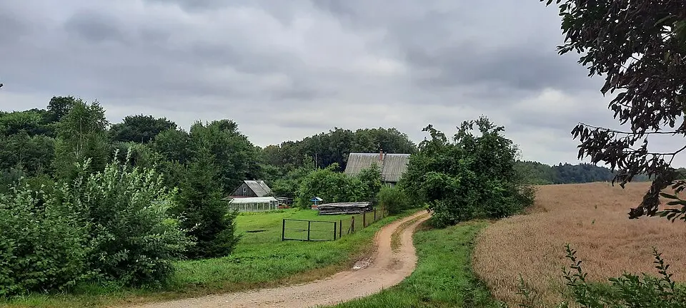 Мацкі