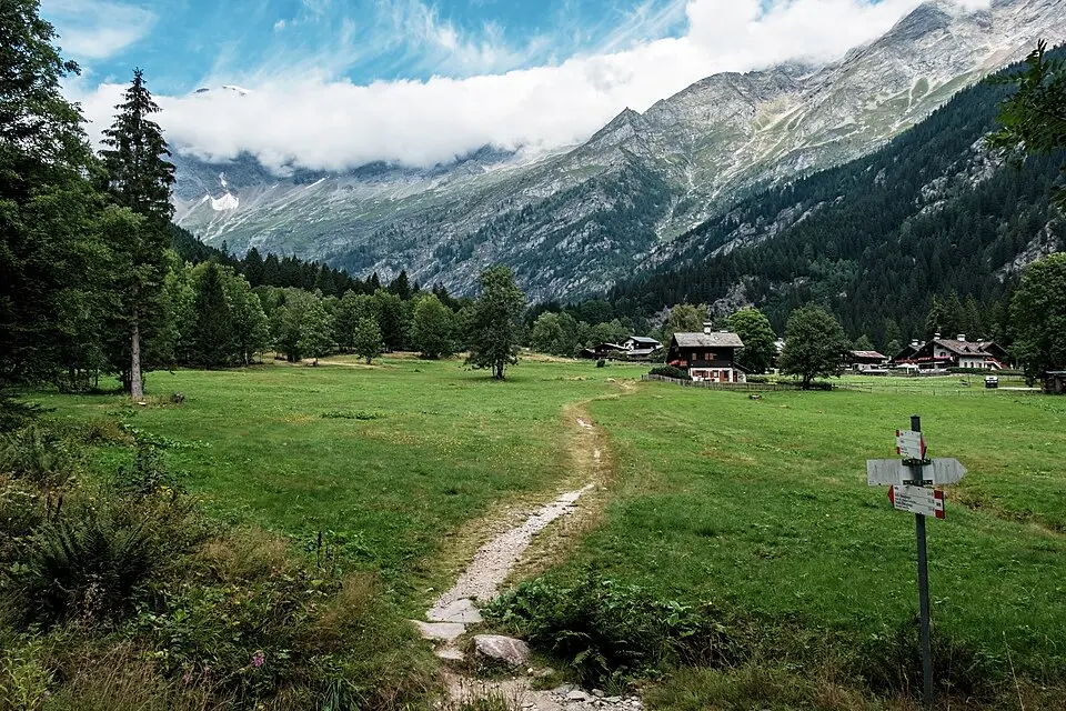Isella