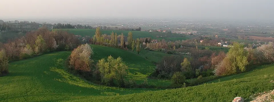 Borzano