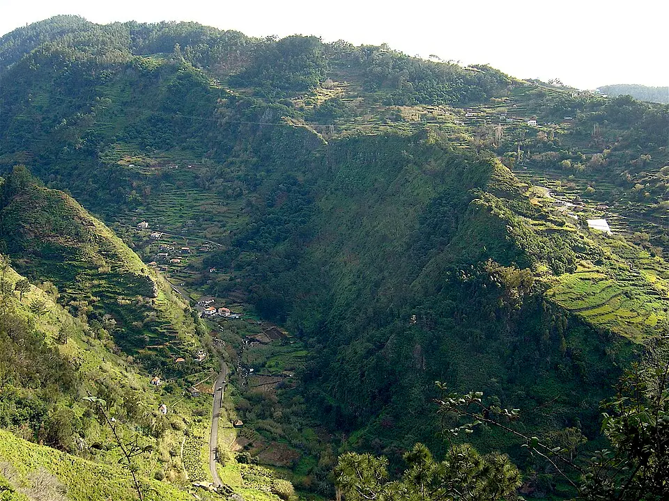 Tabua