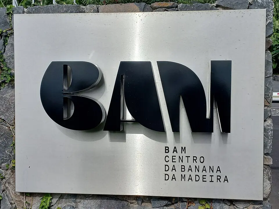 BAM - CENTRO da banana da Madeira