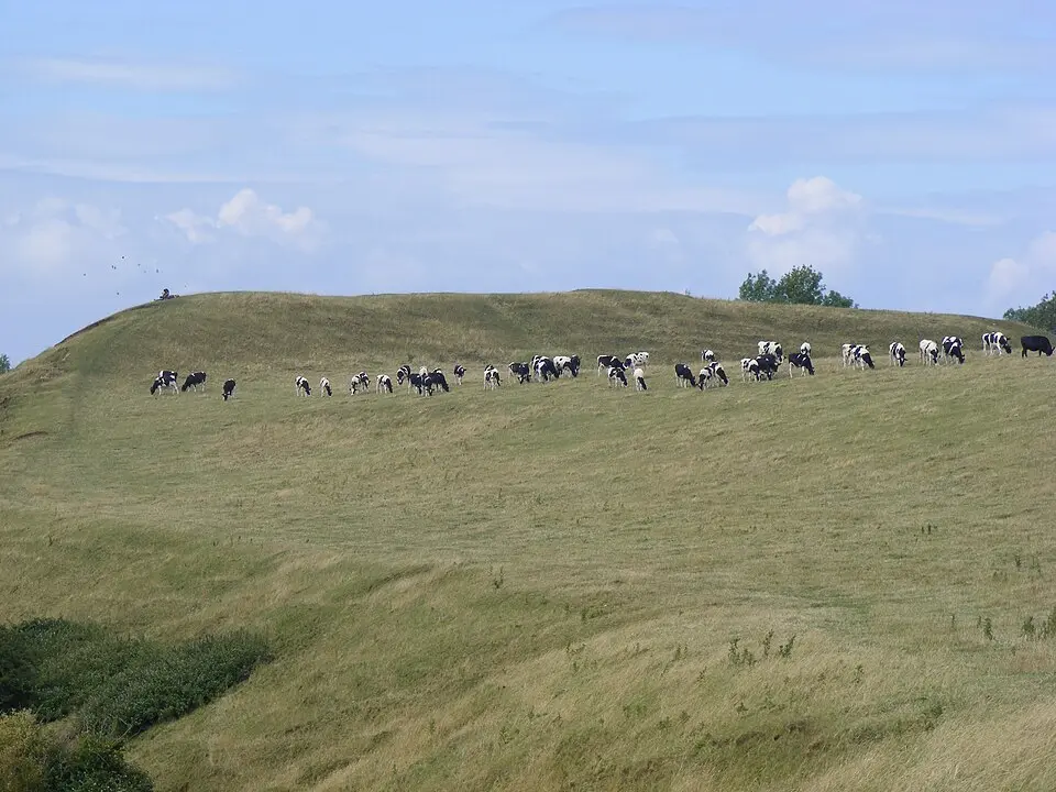 Maes Knoll Camp